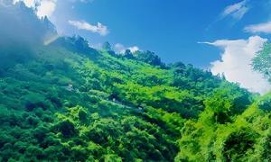 宣恩狮子关水上浮桥：漂浮于峡谷碧水间的山水诗篇