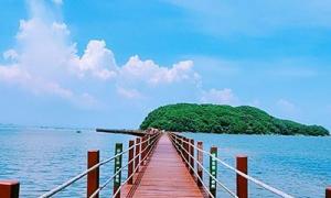 德普浮桥：海陵岛红树林国家湿地公园潮汐浮桥
