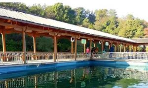 德普浮桥：东源县万绿湖国家湿地公园浮桥