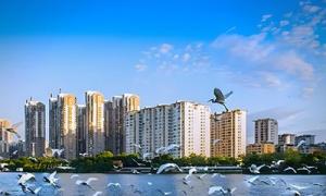 德普浮桥：揭阳榕江湿地公园浮桥栈桥有么