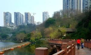 德普浮桥：重庆彩云湖国家湿地公园浮桥栈桥栈道有么