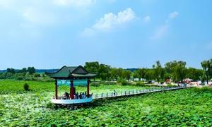 德普浮桥：济南白云湖国家湿地公园浮桥栈桥栈道有么