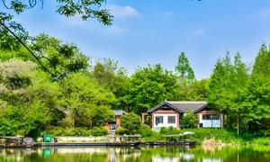 德普浮桥：杭州西溪国家湿地公园浮桥栈桥栈道